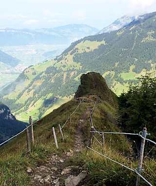 Aussichtspunk am Walenpfad