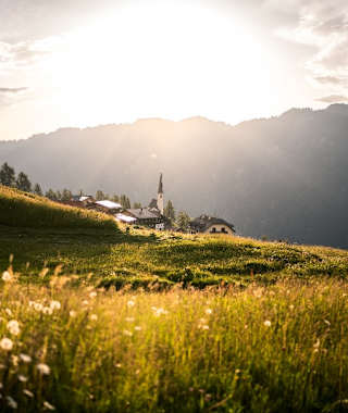 Schöne Stimmung bei Tenna