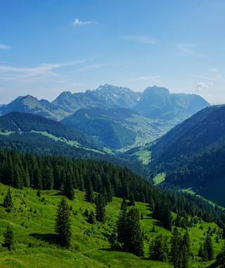 Toggenburger Höhenweg Etappe 2 Blick Säntis
