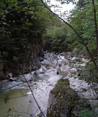 Wandern entlang des Steinbaches