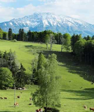 Blick zum Ötscher vom Hochbärneck