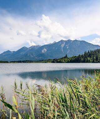 Barmseeufer im Sommer