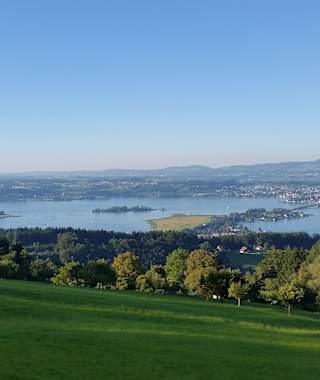 Blick über den Zürichsee