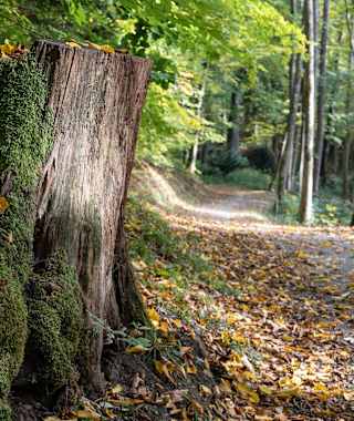 Wanderung im Kaskadental | Bad Kissingen