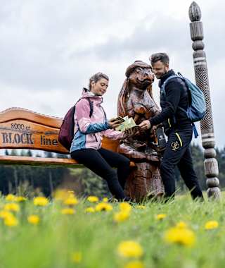 Meilensteine der Blockline in Oberholzhau