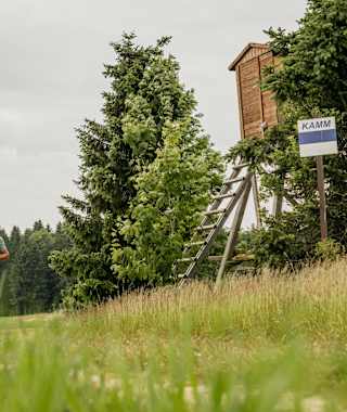 Am Hirschberg in Rübenau