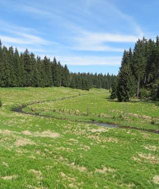 "Schwarze Pockau" bei Kühnhaide