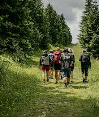 Auf dem Kammweg beim Fichtelberg