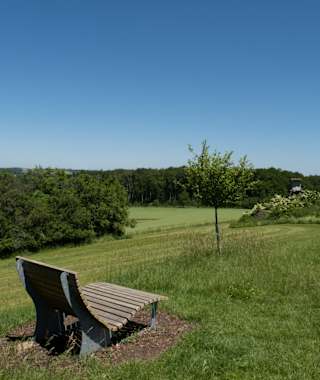 Am Paradiesgartenweg