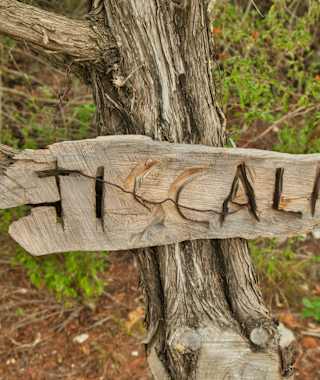 Wegweiser zum Tiscali