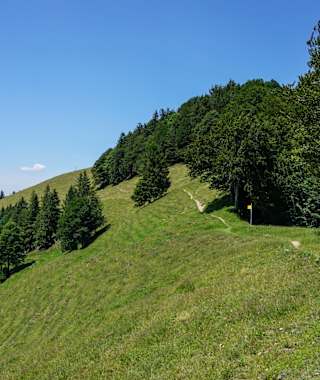 Toggenburger Höhenweg Etappe 5 Wanderweg