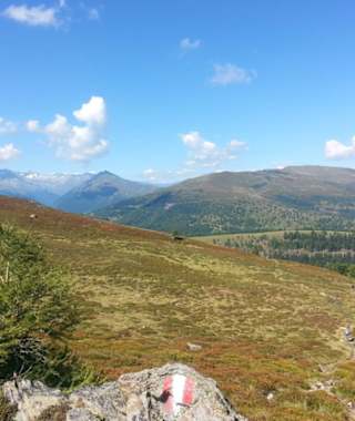 Über die Ebenwaldhöhe