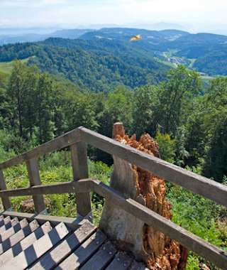 Wanderweg am Üetliberg