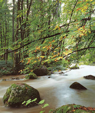 Im Unteren Feldaisttal