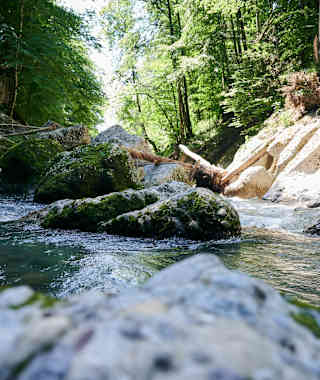 Die Engenlochschlucht in Hittisau