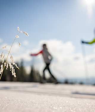 Loipeneinstieg Kummerbauerstadl