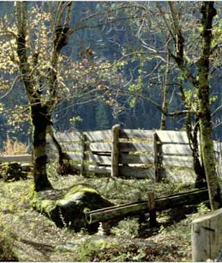 Auf dem Weg der Sinne