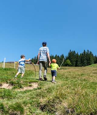 Weg zum Dünser Älpler