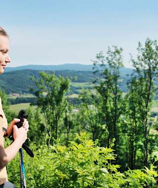 Ausblick von der Araburg
