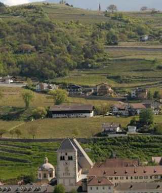 Weinberge bei Brixen