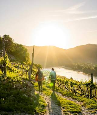 Welterbesteig Wachau - Etappe 2: Weissenkirchen