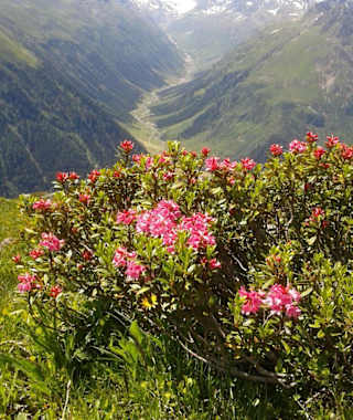 Bike & Hike: Von Galtür auf das Westliche Gamshorn