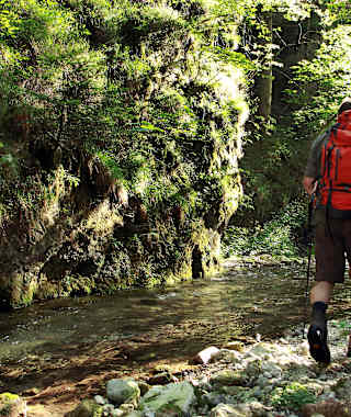 In der Falkenschlucht