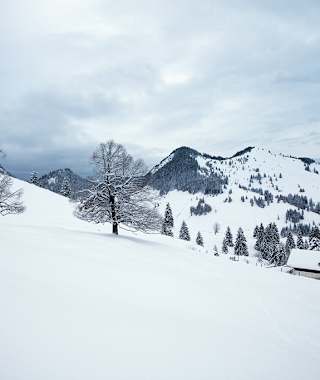 Bei bewölktem Himmel bleibt der Schnee an den Südhängen der Jackelberger Alm länger pulvrig.
