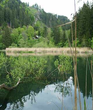 Der Hopfgarten-Teich