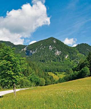 Im sommerlichen Reißtal.