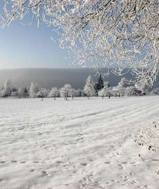 Winterlandschaft