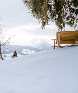 Am Baumhoroskopweg genießt man schöne Aussichten.