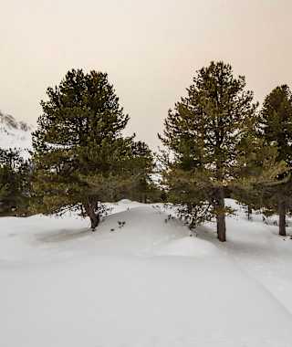 Winterwandern Kaiser-Franz-Josef-Weg Kühtai