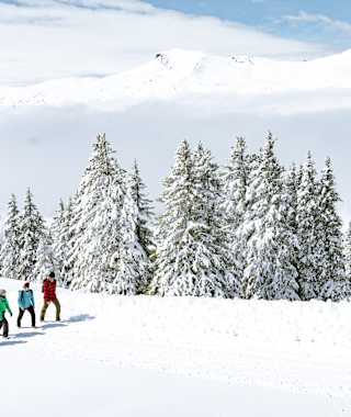 Winterwandern Lenzerheide
