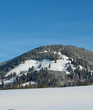 Winterwanderung  Altherrenweg 