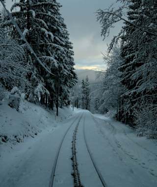 Winterwanderung zur Hengsthütte