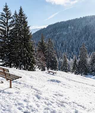 Schöner Pauseplatz mit guter Sicht