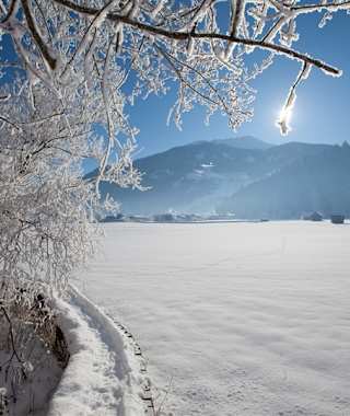 Die Winterwanderung Salzachdammrunde führt durch ein Winterwunderland und beschert atemberaubende Aussichten in die Gipfel der Hohen Tauern.
