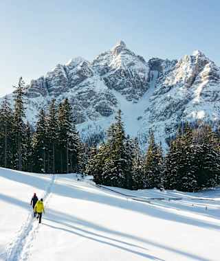 Im Angesicht der Serles - Winterwanderung Waldraster Jöchl
