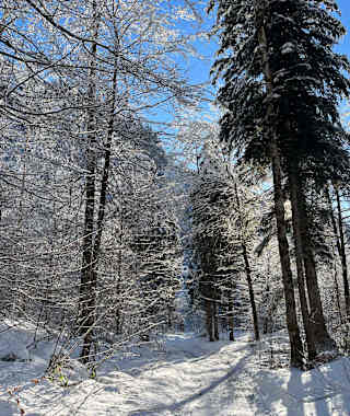 Winterwanderweg Garsella-Buchboden