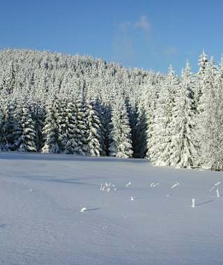 Auf sonnigen Wegen geht es entlang des Waldrandes.