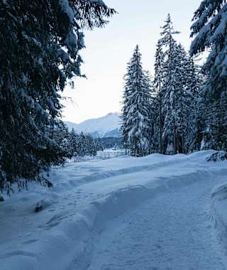 Winterwanderung um den Gschwandkopf