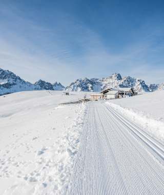 Auch Langläufer können das Panorama genießen