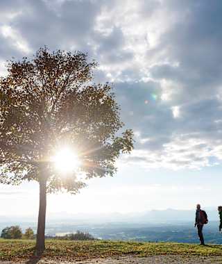 Blick vom Hohenpeißenberg auf die bayerische Alpenkette