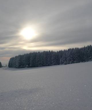 Würzburger Bergbund Hütte vom Parkplatz Schwedenwall