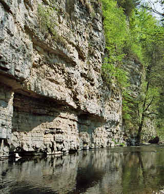 Wanderung durch die Wutach- und Gauchachschlucht