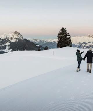 Aussichtsreiche Winterwanderung