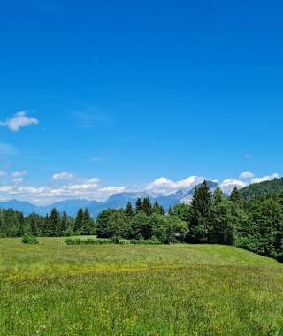 Der Zauberwinkelweg verzaubert auf weitern Strecken.