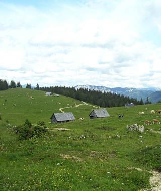 Zeller Staritzen - Almenlandschaft
