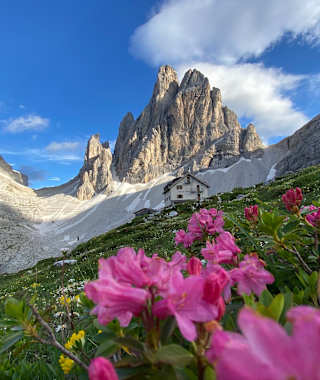 Die Zsigmondyhütte und der Zwöflerkogel